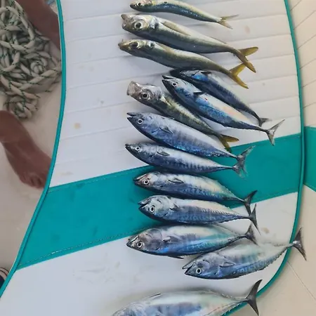 Katigiorgis Blue & Πάρκο διακοπών *