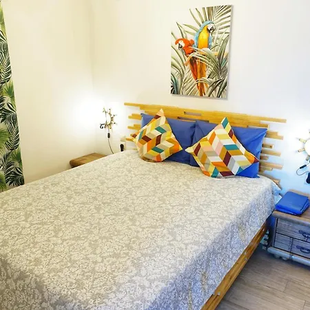 Katigiorgis Blue & *