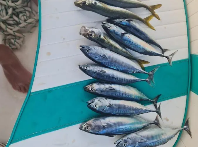 Katigiorgis Blue & Feriepark *