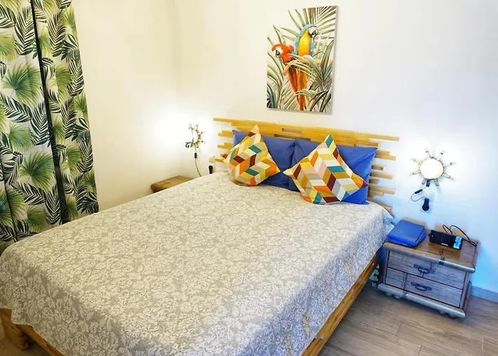 Katigiorgis Blue & *